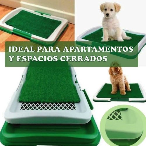 Baño ecológico y portátil para perros